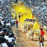 Profile Picture of बैलगाडा_शर्यत✨ (@bailgada__sharyat) on Instagram