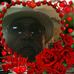 Profile Picture of Ernest Coleman (@ernest.coleman.758) on Facebook