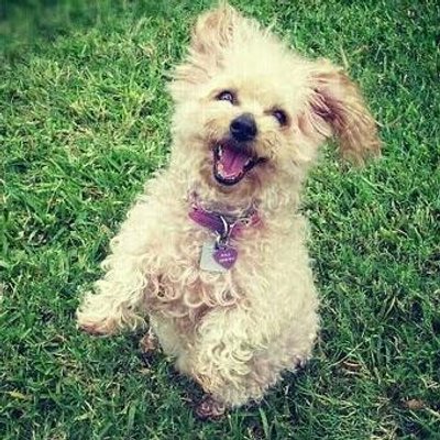 Profile Picture of Bryan Mattson (@mattson2013) on Twitter