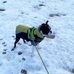 Profile Picture of G E N E S I S   M O R E N O (@g.e.n.e.l.o.v.e) on Instagram