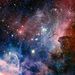 Profile Picture of Michael Roush (@mroush313) on Pinterest