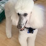 Profile Picture of Lynette Vesely Waller (@lynette.vesely.1) on Facebook