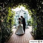 Profile Picture of Dave Mulqueen (@hinglemccringleberry720) on Instagram