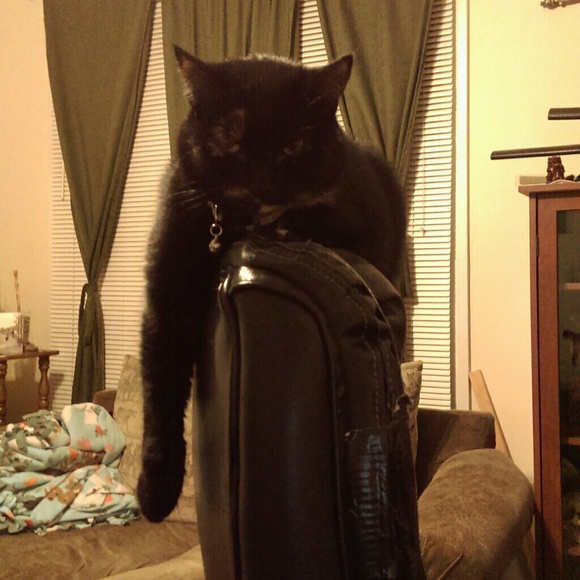 Profile Picture of Nikita Kolbeck (@nikita10123) on Poshmark