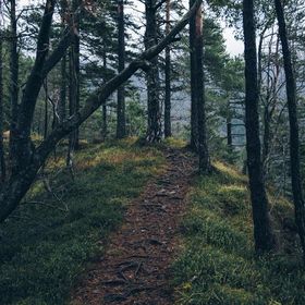 Profile Picture of Jeffrey Lopez (@jeffrey16215666) on Pinterest