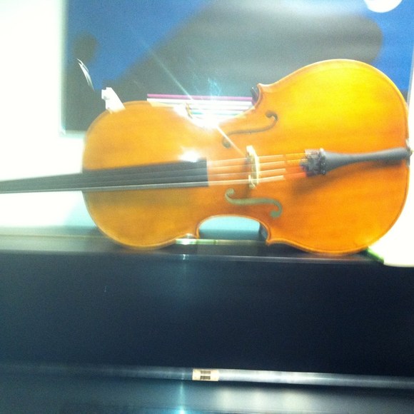 Profile Picture of Susanna Reilly (@cellosusy) on Poshmark