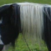 John Caris - Facebook Profile Picture of John Caris (@john.caris) on Facebook