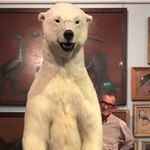Profile Picture of Nicholas turner (@nickbrixton) on Instagram
