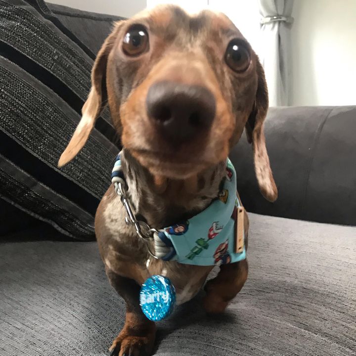 Profile Picture of Kylie Brimble (@barrybrimble) on Tiktok