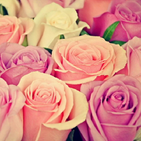 Profile Picture of Lidia Lopez (@abigonzalez329) on Poshmark