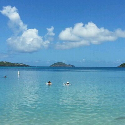 Profile Picture of Lisa Lye (@lisamlye) on Twitter