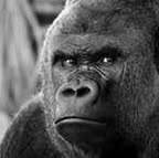 Profile Picture of Aaron Kitzmiller (@aaron.kitzmiller.3) on Facebook