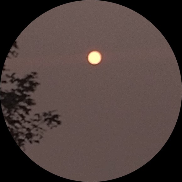 Profile Picture of Leah Leclaire (@leahleclaire11) on Poshmark