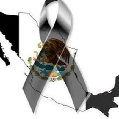 Profile Picture of Martha Imelda Chávez (@Imelda75chavez) on Twitter