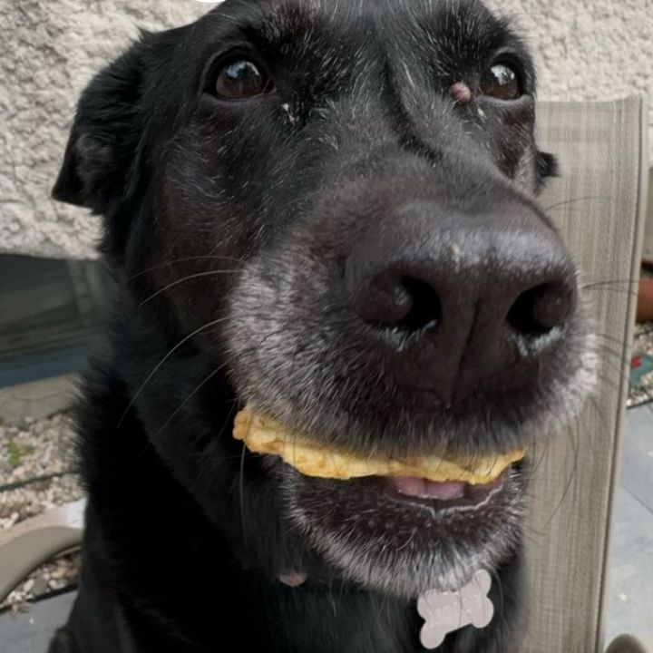 Profile Picture of 6'2 and nonchalant (@adam_reynold.s) on Tiktok