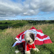 Profile Picture of Terry Brady (@ballysaints) on Youtube