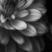 Profile Picture of Ariel Ramsey (@arielramsey5660) on Youtube