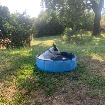 Profile Picture of Nicholas Dirks (@NicholasDirks1) on Twitter