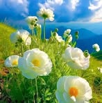 Profile Picture of Julia Padilla (@Julia-Padilla) on Facebook