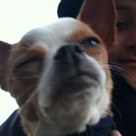 Raymond - Instagram Profile Picture of Raymond (@raymond._.rojas) on Instagram