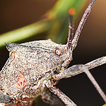 Profile Picture of David Winter (@davidwinter3) on Flickr