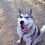 Profile Picture of Сергей (@sergey.golubev) on Instagram