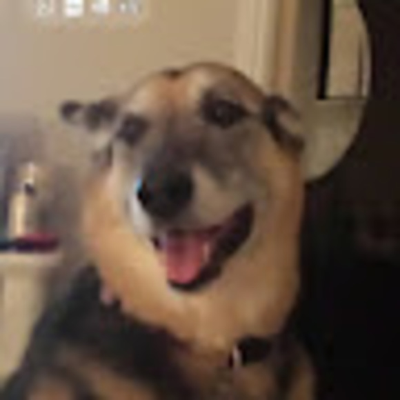 Profile Picture of Allan Wong (@drallanwongdc) on Poshmark