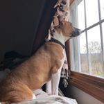 Profile Picture of Theo Collins (@theothedawg01) on Instagram