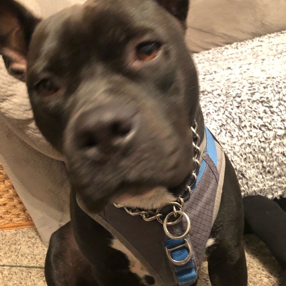 Dan Smit - Poshmark Profile Picture of Dan Smit (@d_smit) on Poshmark