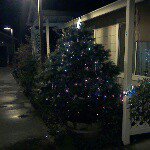 Profile Picture of Roberta fontaine (@bobbiefontaine) on Instagram