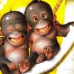 Daniel Perino - Facebook Profile Picture of Daniel Perino (@daniel.perino.587) on Facebook