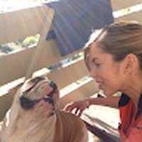 Profile Picture of Tracy Ferris (@tracy-ferris-13) on Quora
