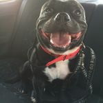 Profile Picture of Jonathan figaredo (@jhonnysomo) on Instagram