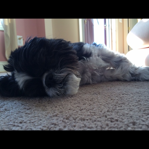 Profile Picture of Meg Sullivan (@megsullivan5) on Poshmark