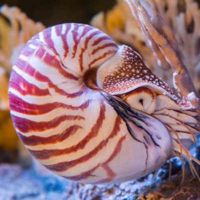 Profile Picture of Daniel Britts (@fritts222) on Twitter