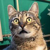 Profile Picture of Ledenko (@ledenko) on Youtube