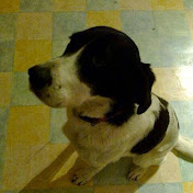 Profile Picture of Ben Pridgeon (@user-dv9bg6yi7r) on Youtube