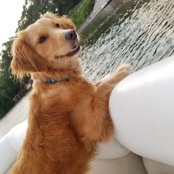 Profile Picture of Jocelyn Rozycki (@jrozycki) on Poshmark