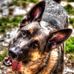 Profile Picture of James Boettcher (@james.boettcher.946) on Facebook