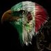 Profile Picture of Ramon Avila Rivera (@ramonavila899) on Pinterest