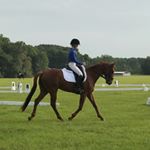 Brianna Heath - Instagram Profile Picture of Brianna Heath (@strides.of.eventing) on Instagram