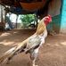 Profile Picture of Aravind Sampath (@aravind.sampath.925) on Facebook