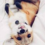 Profile Picture of Jacque Hanson (@jacquehanson1977) on Instagram