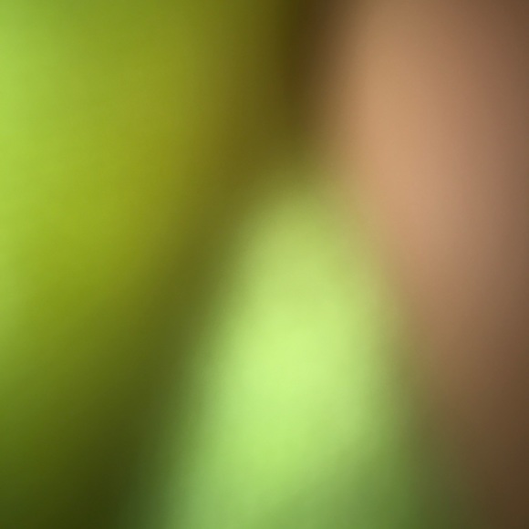 Profile Picture of Ethan Freniere (@ethan6969) on Poshmark