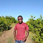 Profile Picture of Harriez Kapisz (@harriezkapisz) on Instagram