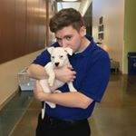 Profile Picture of Joe Haynes (@moderatelyjoe) on Instagram