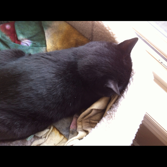 Kathryn Klages - Poshmark Profile Picture of Kathryn Klages (@denure1950) on Poshmark