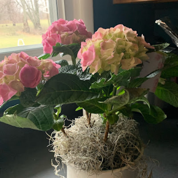 Profile Picture of Christina Walworth (@christinawalwor) on Poshmark