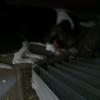 Profile Picture of chadetwiler (@@chadetwiler) on Tiktok