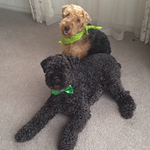 Profile Picture of Marilyn Whitley (@marilynwhitley) on Flickr